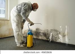 Best Mold Documentation for Insurance Claims  in Rock Island, IL